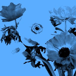 Warhol Blue 02
